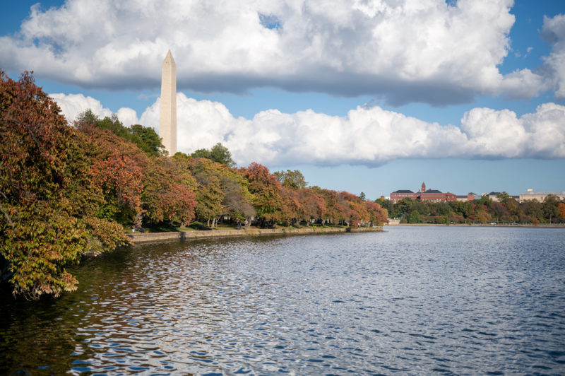 Young Nonprofit Professionals Network of Washington DC